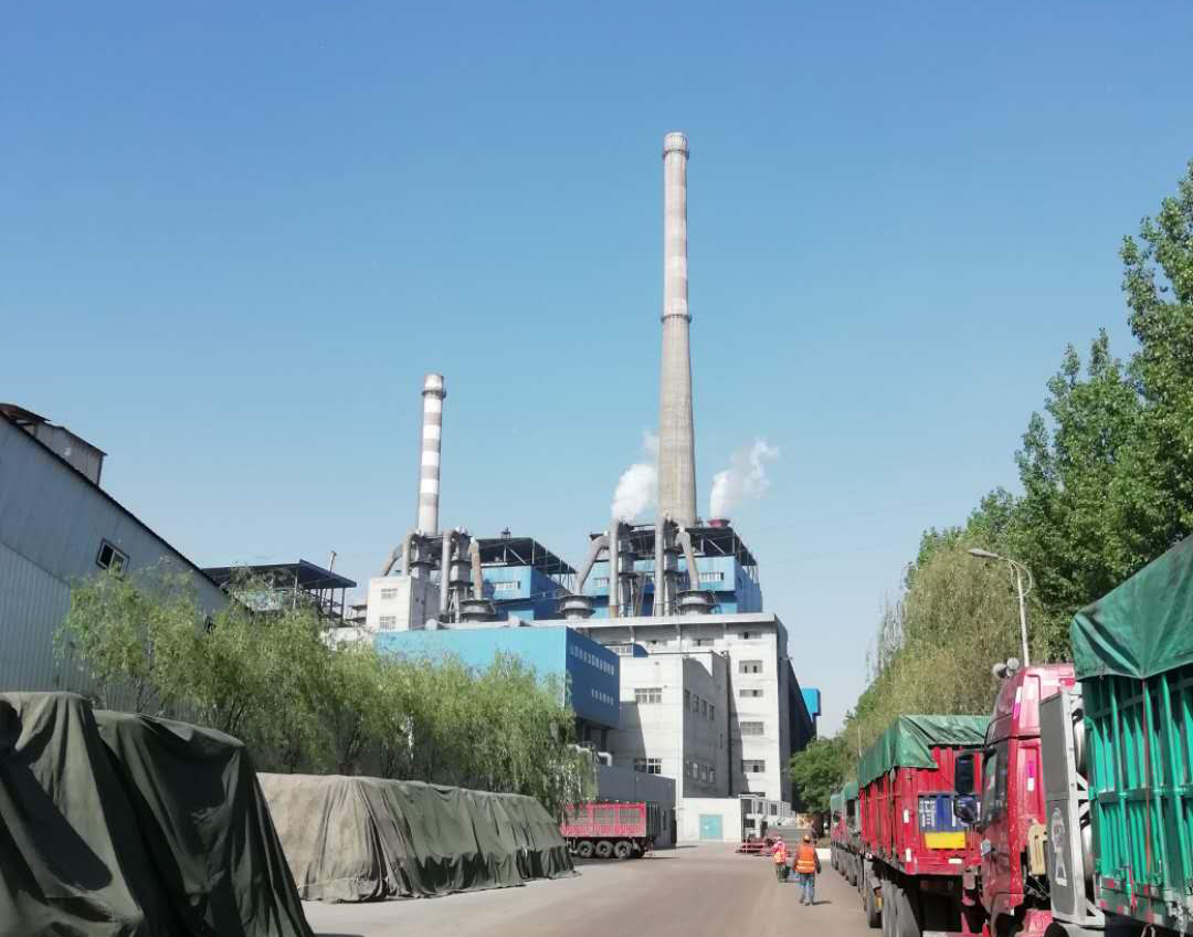 1561015395211156.jpg 肥美.jpg