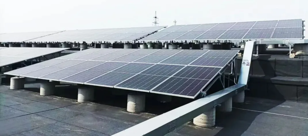 1748920921968946.png 5a9b2c9b76304ebe77b3dff072fa9652.png